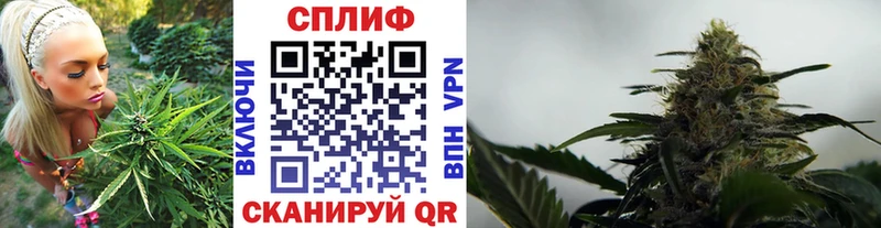 Названия наркотиков Каменск-Уральский ГЕРОИН mega ONION ГАШ Cocaine МАРИХУАНА Alpha-PVP