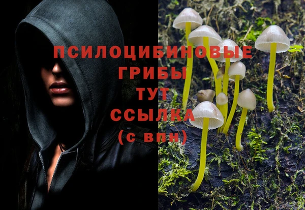 амф Абинск