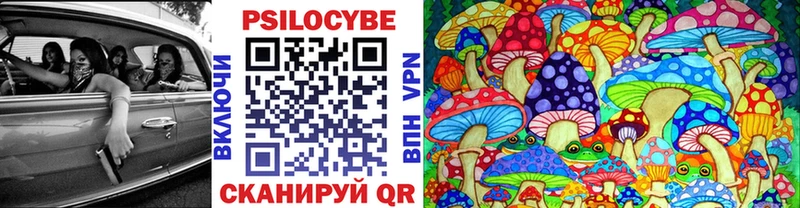 где продают наркотики  Каменск-Уральский  Галлюциногенные грибы Magic Shrooms 
